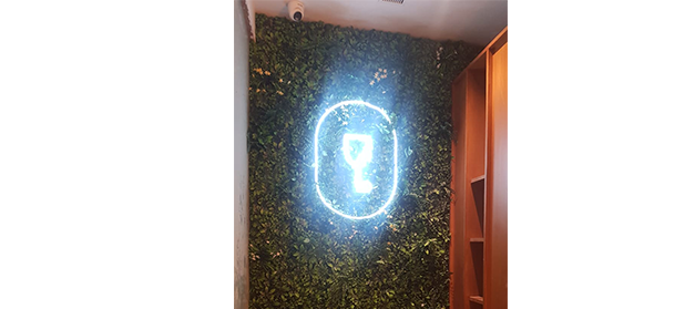 Liquor bottle display rack in Indian wine shop, New Delhi